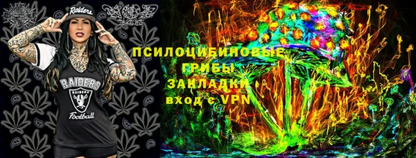 шишки Абинск