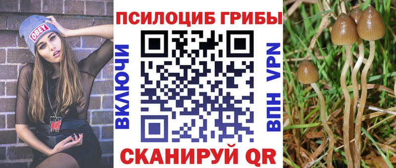Псилоцибиновые грибы MAGIC MUSHROOMS  Сургут 